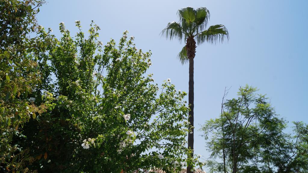 הוילה סלבה Casa Gema חדר תמונה